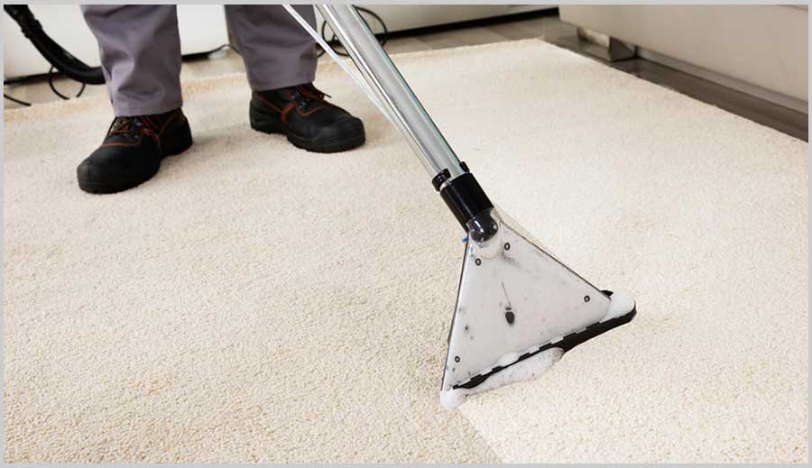 Here is Everything You Need to Know About Carpet Cleaning Services
