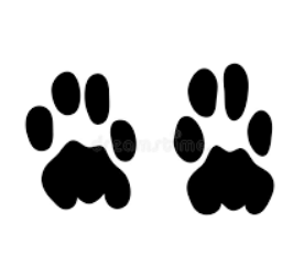 How to draw a cheetah footprint 