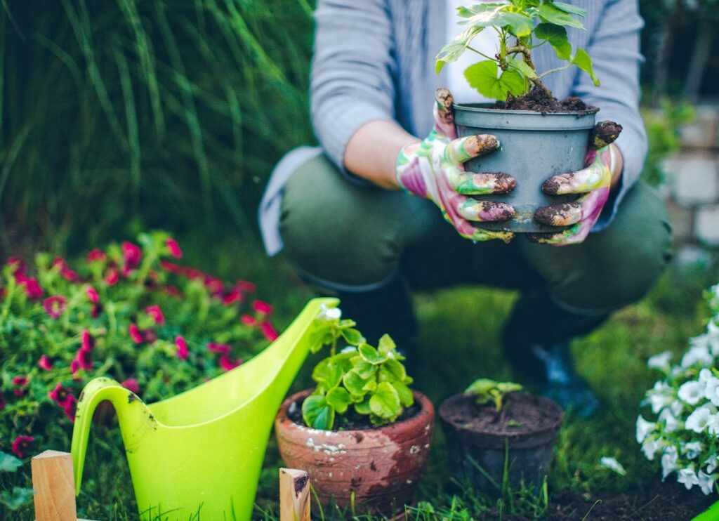 How Can You Get Your Plants to Grow Quicker?